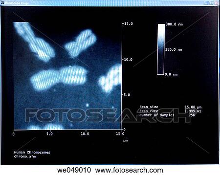 Polytechnic School, University of the Basque Country, Donostia, Gipuzkoa, Basque Country. Nanoscope IIIa Atomic Force Microscope View Large Photo Image Stock Image - Polytechnic School, University of the Basque Country, Donostia, Gipuzkoa, Basque Country. Nanoscope IIIa Atomic Force Microscope. Fotosearch