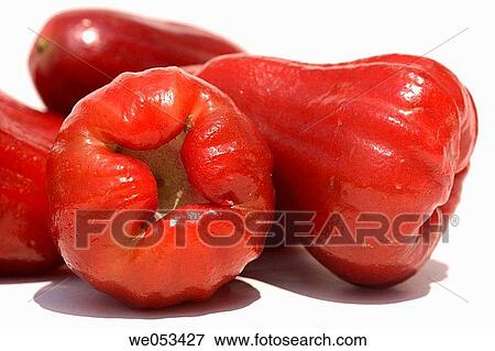 Red rose apple (Jambu) with one apple cut in half View Large Photo Image Stock Photo - Red rose apple (Jambu) with one apple cut in half. Fotosearch