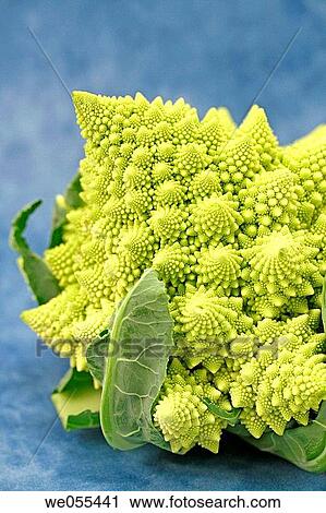 Romanesco broccoli View Large Photo Image Stock Image - Romanesco broccoli. Fotosearch
