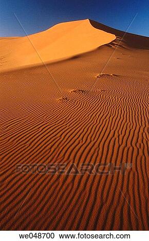 Stock Image - Sand dunes, desert. Sahara, Grand Erg Oriental. Algeria. November.. Fotosearch