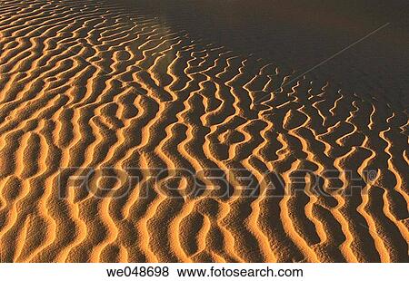 Sand dunes, desert. Sahara, Grand Erg Oriental. Algeria. November. View Large Photo Image Stock Photo - Sand dunes, desert. Sahara, Grand Erg Oriental. Algeria. November.. Fotosearch