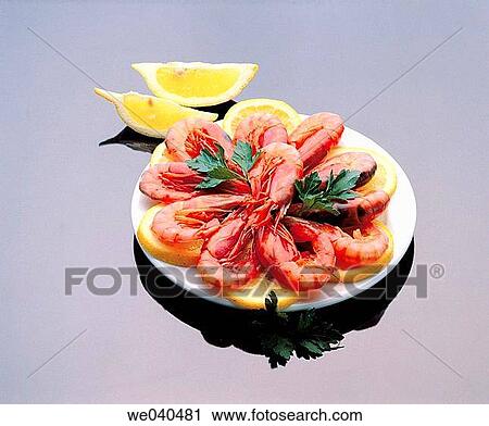Shrimps View Large Photo Image Stock Image - Shrimps. Fotosearch