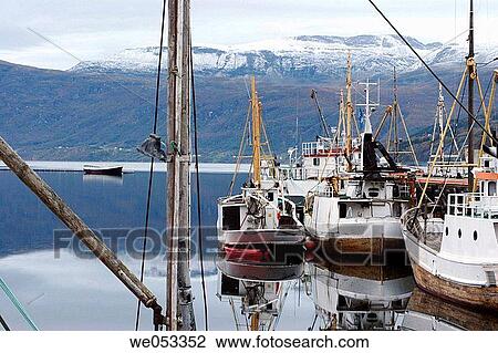 Small harbour for fishing-boats. Foldvik Brygge, Gratangen commune, Troms, Lapland, Norway, Scandinavia, Europe. Norwegian Sea, North-Atlantic, Sub-Arctic View Large Photo Image Stock Image - Small harbour for fishing-boats. Foldvik Brygge, Gratangen commune, Troms, Lapland, Norway, Scandinavia, Europe. Norwegian Sea, North-Atlantic, Sub-Arctic. Fotosearch