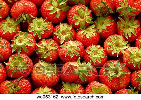 Strawberries at La Boquer? a market, Barcelona. Catalonia, Spain View Large Photo Image Stock Image - Strawberries at La Boquer? a market, Barcelona. Catalonia, Spain. Fotosearch