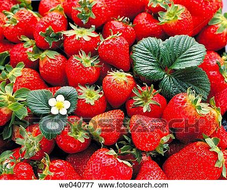 Strawberries View Large Photo Image Stock Photo - Strawberries. Fotosearch