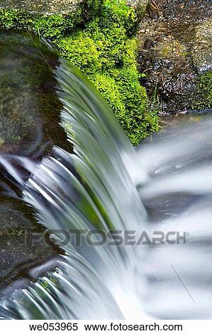 Stream closeup in Yosemite National Park. California. USA View Large Photo Image Stock Photography - Stream closeup in Yosemite National Park. California. USA. Fotosearch