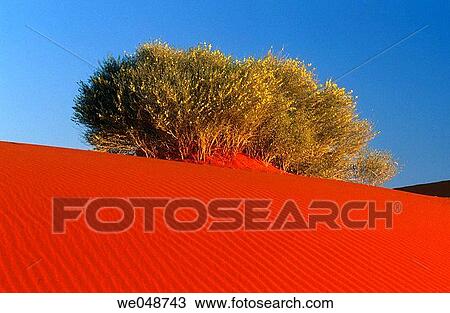 Strzelecki Desert. Australia View Large Photo Image Stock Image - Strzelecki Desert. Australia. Fotosearch