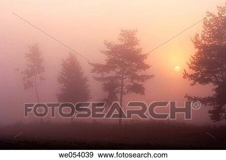Sunrise with morning mist. Bavaria, Germany, Europe. View Large Photo Image Stock Photo - Sunrise with morning mist. Bavaria, Germany, Europe.. Fotosearch