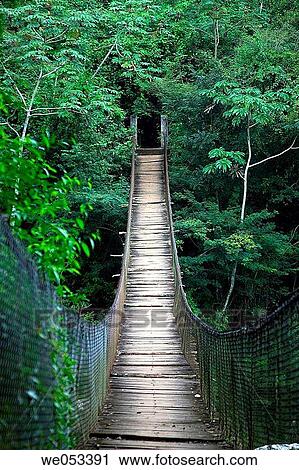 Stock Image - the river of Agua Clara in the rainforest of the southern State of Chiapas in Mexico, Latin america. Fotosearch