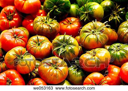 Tomatoes at La Boquer? a market, Barcelona. Catalonia, Spain View Large Photo Image Stock Image - Tomatoes at La Boquer? a market, Barcelona. Catalonia, Spain. Fotosearch