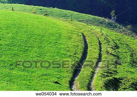 Track in green meadow. Bavaria, Germany, Europe. View Large Photo Image Picture - Track in green meadow. Bavaria, Germany, Europe.. Fotosearch