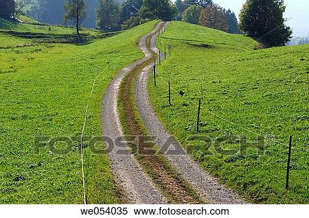 Track through meadow. Bavaria, Germany, Europe. View Large Photo Image Stock Photography - Track through meadow. Bavaria, Germany, Europe.. Fotosearch