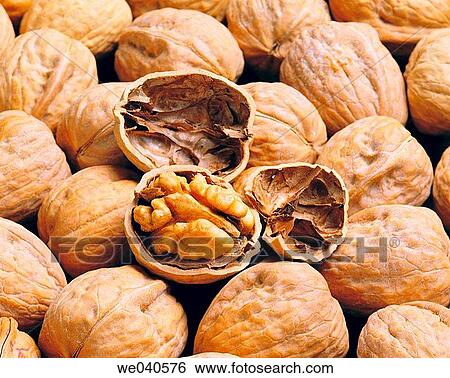 Walnuts View Large Photo Image Stock Photograph - Walnuts. Fotosearch