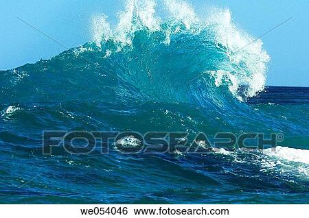 Wave at the North Shore. Oahu, Hawaii, USA. View Large Photo Image Stock Photograph - Wave at the North Shore. Oahu, Hawaii, USA.. Fotosearch