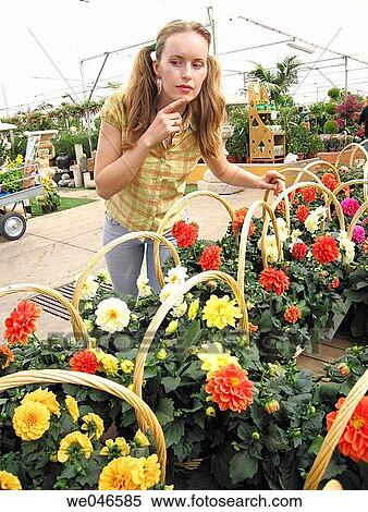 Woman choosing flowers basket View Large Photo Image Stock Photography - Woman choosing flowers basket. Fotosearch
