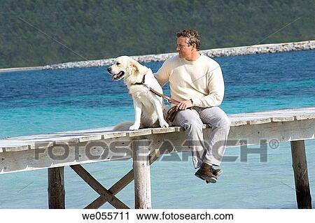 affection, calm, autumn, animal, 30's View Large Photo Image Stock Image - affection, calm, autumn, animal, 30's. Fotosearch