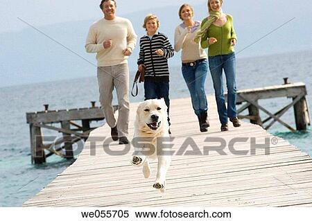 animal, brother, boy, 30's View Large Photo Image Stock Photography - animal, brother, boy, 30's. Fotosearch