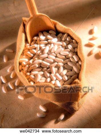 Beans View Large Photo Image Picture - Beans. Fotosearch