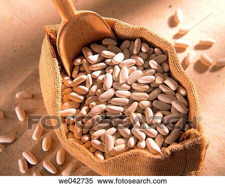 Beans View Large Photo Image Stock Photography - Beans. Fotosearch