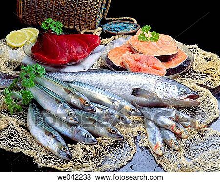 Blue fish View Large Photo Image Stock Photo - Blue fish. Fotosearch