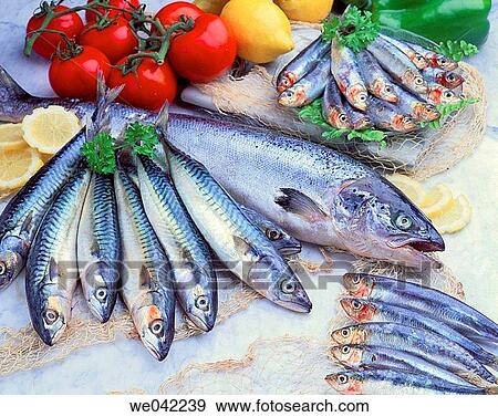 Blue fish View Large Photo Image Stock Photo - Blue fish. Fotosearch