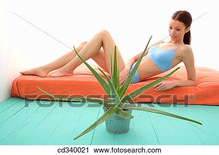 Body care, carnality, brunette, aloe vera View Large Photo Image Stock Image - Body care, carnality, brunette, aloe vera. Fotosearch