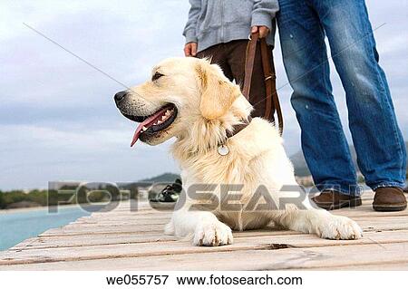 Stock Photo - boy, calm, break-time, break, animal. Fotosearch