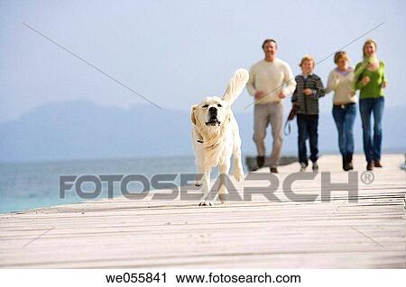 boy, child, brother, animal View Large Photo Image Stock Image - boy, child, brother, animal. Fotosearch