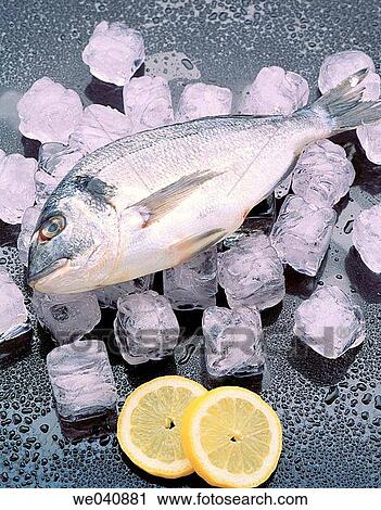 Bream View Large Photo Image Stock Image - Bream. Fotosearch
