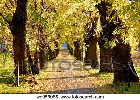 calm, country, day, evening, future View Large Photo Image Stock Photography - calm, country, day, evening, future. Fotosearch