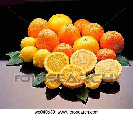Citrus fruits View Large Photo Image Stock Photo - Citrus fruits. Fotosearch