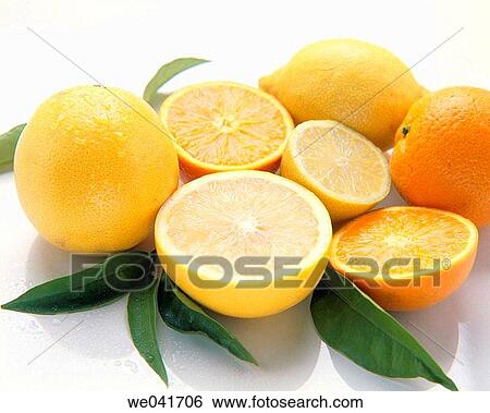 Citrus fruits View Large Photo Image Stock Photograph - Citrus fruits. Fotosearch