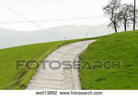 cloudy, deserted, day, Country road, autumn View Large Photo Image Stock Image - cloudy, deserted, day, Country road, autumn. Fotosearch