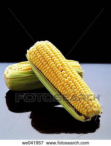 Corn View Large Photo Image Stock Photo - Corn. Fotosearch