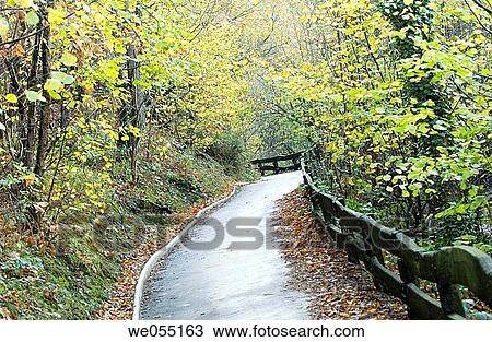 Stock Image - Country road, nature, Fallen leaves, day, autumn. Fotosearch