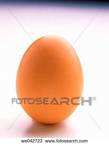 Egg View Large Photo Image Stock Image - Egg. Fotosearch