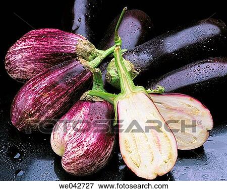Stock Photo - Eggplant. Fotosearch
