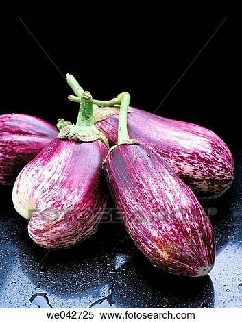 Eggplant View Large Photo Image Stock Photography - Eggplant. Fotosearch