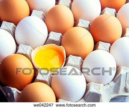 Eggs View Large Photo Image Stock Photo - Eggs. Fotosearch