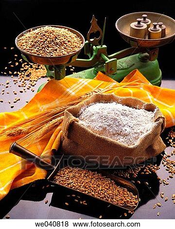 Flour View Large Photo Image Stock Photo - Flour. Fotosearch