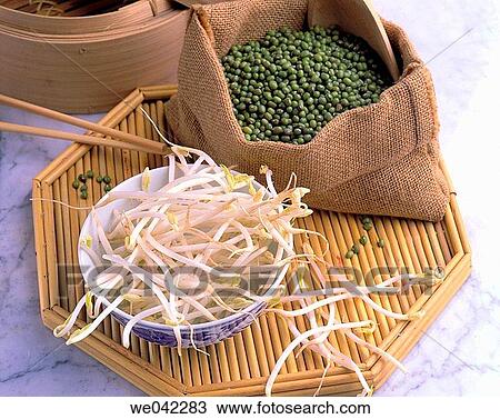 Germinated soybean View Large Photo Image Stock Image - Germinated soybean. Fotosearch