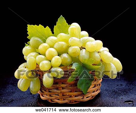 Grapes View Large Photo Image Picture - Grapes. Fotosearch
