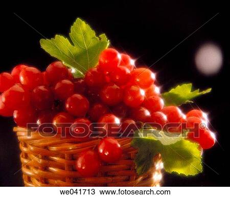 Grapes View Large Photo Image Stock Image - Grapes. Fotosearch