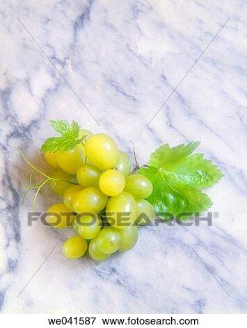 Grapes View Large Photo Image Stock Photo - Grapes. Fotosearch