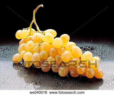 Grapes View Large Photo Image Stock Photograph - Grapes. Fotosearch