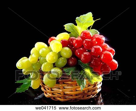 Stock Photography - Grapes. Fotosearch