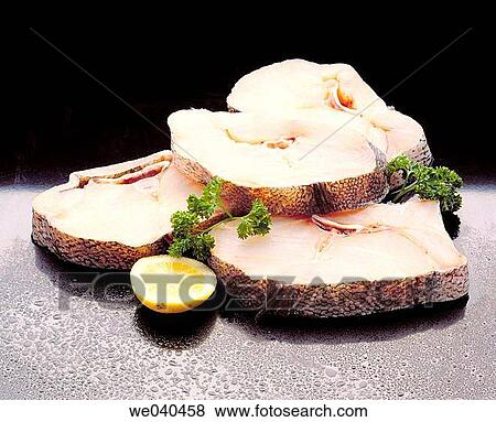Stock Photo - Hake. Fotosearch