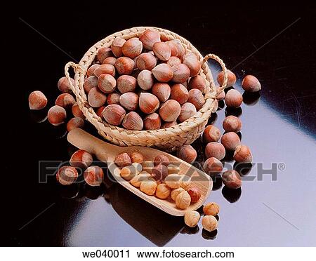 Stock Image - Hazelnuts. Fotosearch