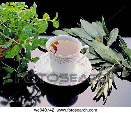 Herbal tea, infusion View Large Photo Image Stock Image - Herbal tea, infusion. Fotosearch