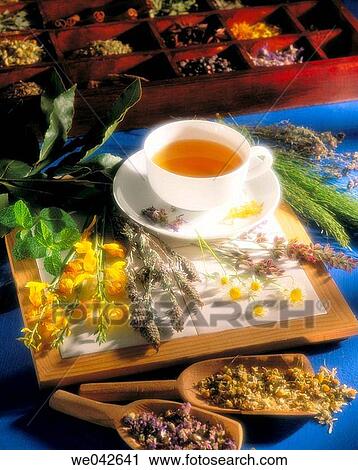 Herbal tea, infusion View Large Photo Image Stock Image - Herbal tea, infusion. Fotosearch